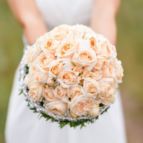 Róża Rabatowe Isarperle®