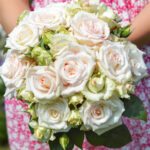 Róża Rabatowe Certinia®